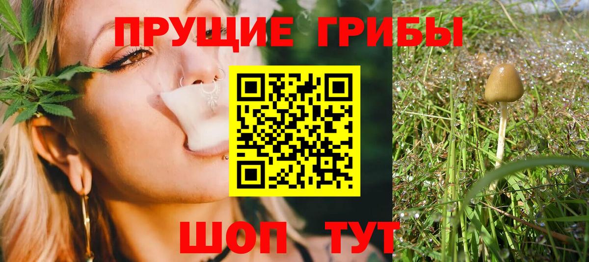 Чайковский  Галлюциногенные грибы GOLDEN TEACHER  Вход с VPN 